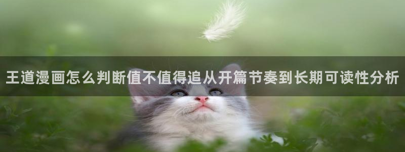 免费看漫画漫画排行