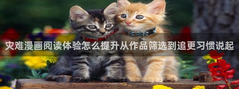 免费看漫画网