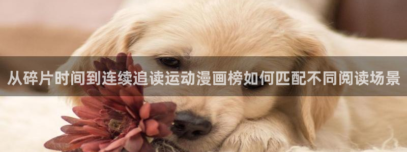 免费看漫画分类大全