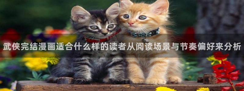 免费看漫画在线阅读入口
