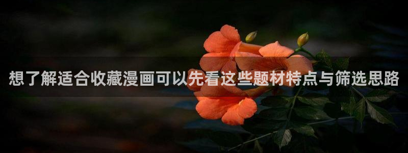 免费看漫画导航：想了解适合收藏漫画可以先看这些题材特点与筛选思路