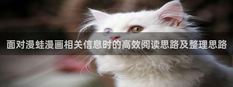免费看漫画漫画内容